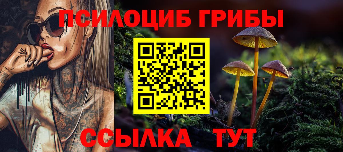 Галлюциногенные грибы мухоморы  Галлюциногенные грибы GOLDEN TEACHER  Заинск  Вход с VPN 