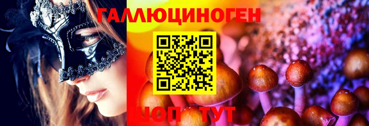 Псилоцибиновые грибы мицелий Заинск